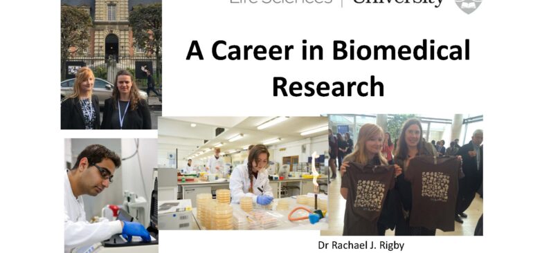 A Career in Biomedical Research Lecture slide